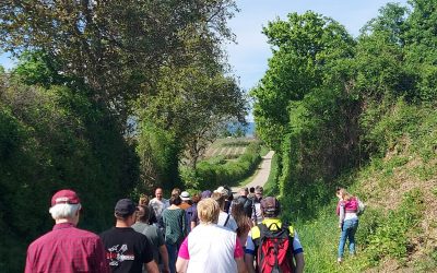 Ein unvergesslicher Tag in Knöringen: Amselpfad-Eröffnung und Premiere der Weinbergswanderung