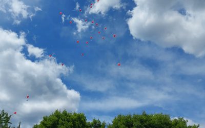 Tag des Sports – ein Tag voller Bewegung, Gemeinschaft und sommerlicher Freude