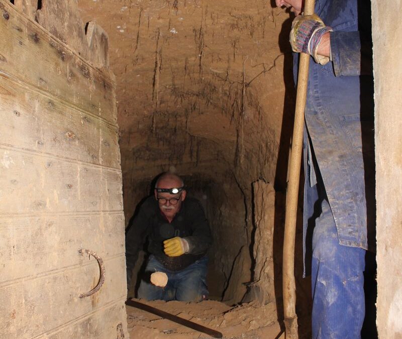 Erste Knöringer Erdkeller freigelegt